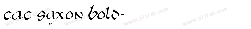 CAC Saxon Bold字体转换